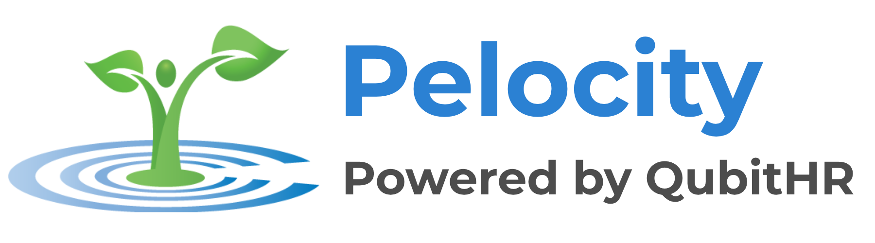 Pelocity V25 Final 1800x500 (PNG)